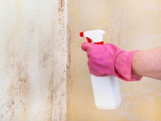Eliminación de moho en la pared de la habitación con spray químico